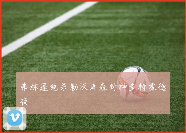 弗林蓬绝杀勒沃库森封神多特蒙德夜