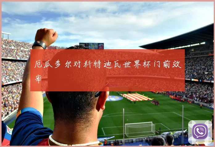 厄瓜多尔对科特迪瓦世界杯门前效率