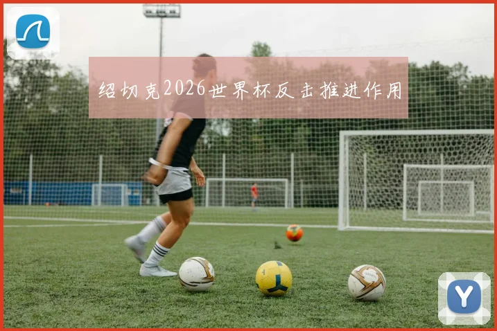 绍切克2026世界杯反击推进作用