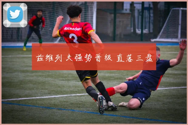 兹维列夫强势晋级 直落三盘