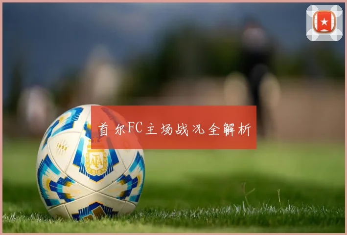 首尔FC主场战况全解析