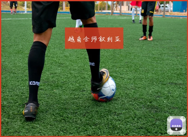 越南会师叙利亚