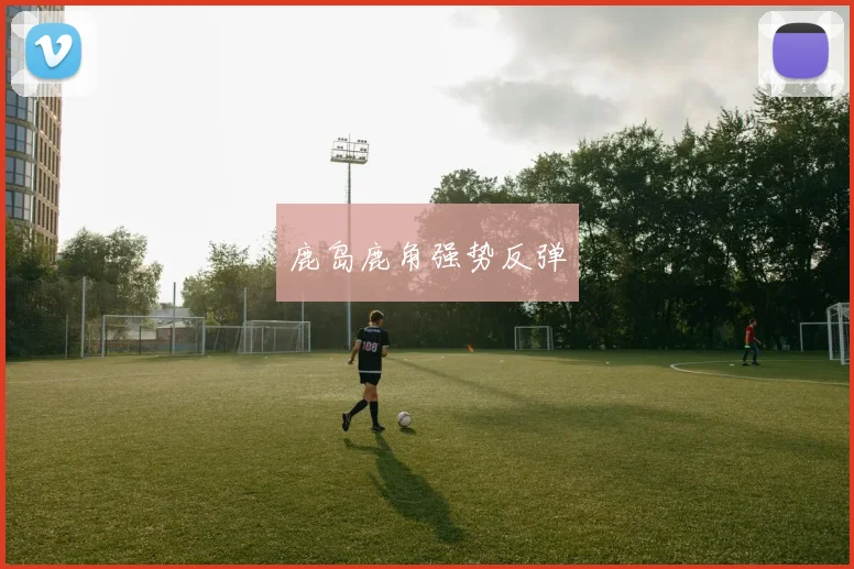 鹿岛鹿角强势反弹
