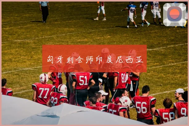 匈牙利会师印度尼西亚