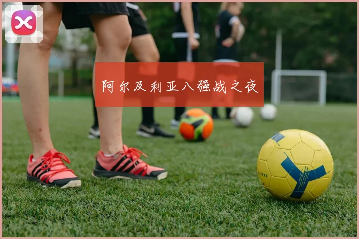 阿尔及利亚八强战之夜