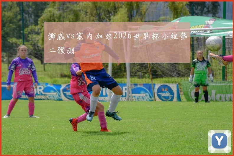 挪威vs塞内加尔2026世界杯小组第二预测