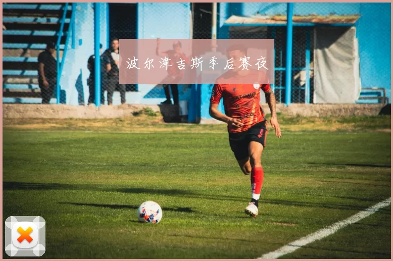 波尔津吉斯季后赛夜
