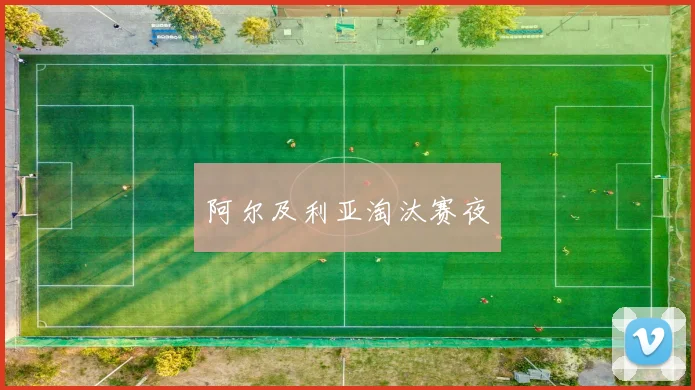 阿尔及利亚淘汰赛夜