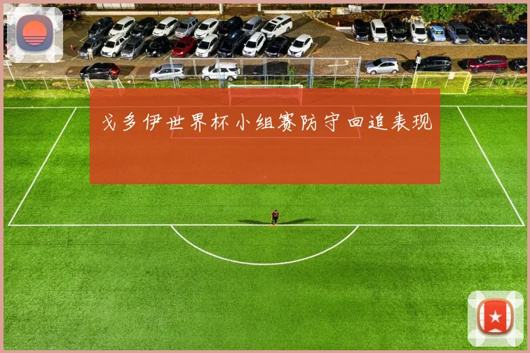 戈多伊世界杯小组赛防守回追表现