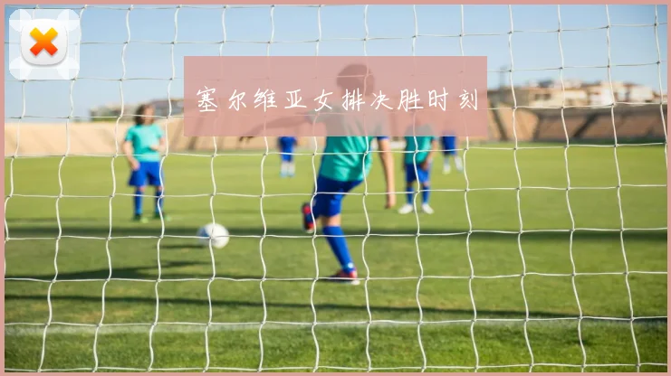 塞尔维亚女排决胜时刻
