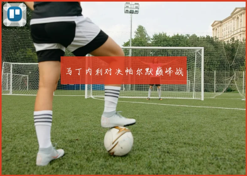 马丁内利对决帕尔默巅峰战
