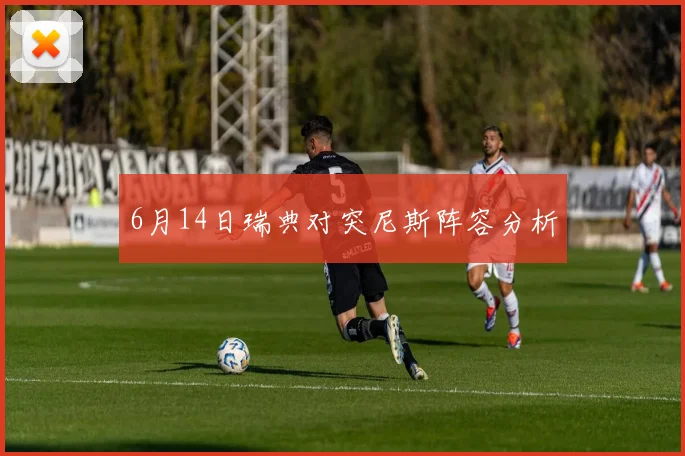 6月14日瑞典对突尼斯阵容分析