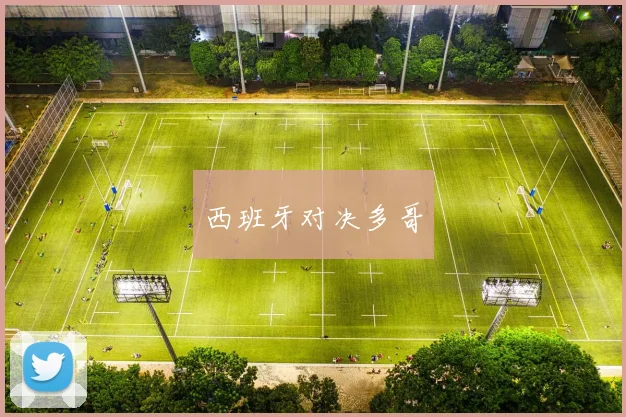 西班牙对决多哥
