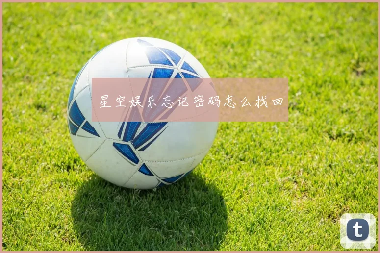 星空娱乐忘记密码怎么找回